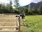 img20160612wa0014.jpg
