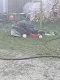img20180702wa0013.jpg