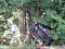 SDC10094.JPG